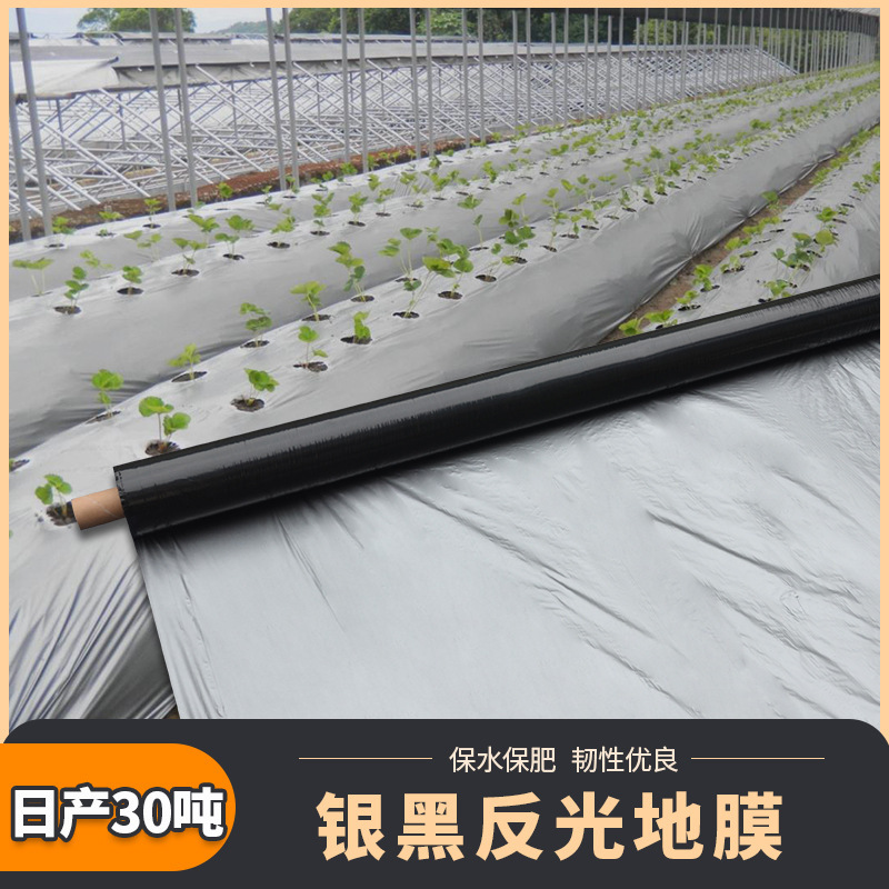 Thick ground film agricultural PE double-layer greenhouse film pepper black and white agricultural film for vegetable cultivation perforated plastic greenhouse film