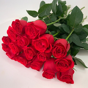 Red Rose Flower Express Delivery from Yunnan Base, Direct Shipment for Qixi Festival, Home Hydroponics, Office Cut Flowers, Others