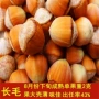 东北铁岭种植耐寒树苗