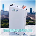 51.2V100A储能家用太阳能壁挂式磷酸铁锂电池太阳能供电储能电池