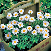 �׾��շN��С�r��С�׾յ��S���r�պ���ɏ����ܰ���ܷN�ѱ���Ʒ�N