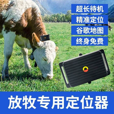 Long Standby Beidou GPS Dual-Star – GPS Locator