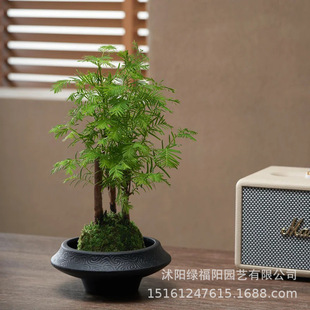 ˮɼ�����辰�҃��ļ���������ɼ�����Ϙ����ԃ����՚�Gֲ��ˮ��