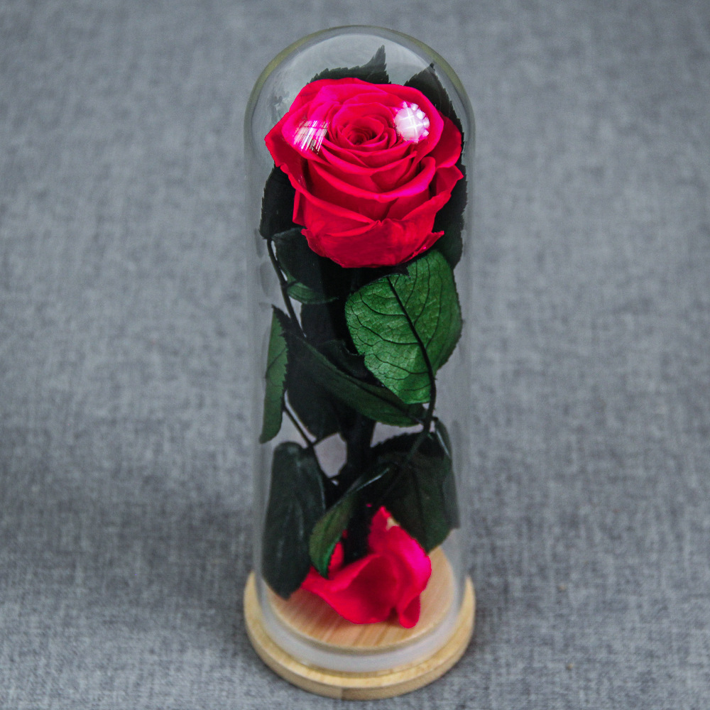 Flor inmortal Little Prince Star Sea Watchman una sola rama de rosa cubierta de vidrio Amazon Día de San Valentín Regalo del Día de la Madre