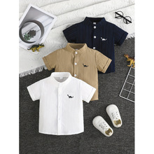P 63435 Dinosaur Embroidery 3pc Set �����廨�����׿羳��