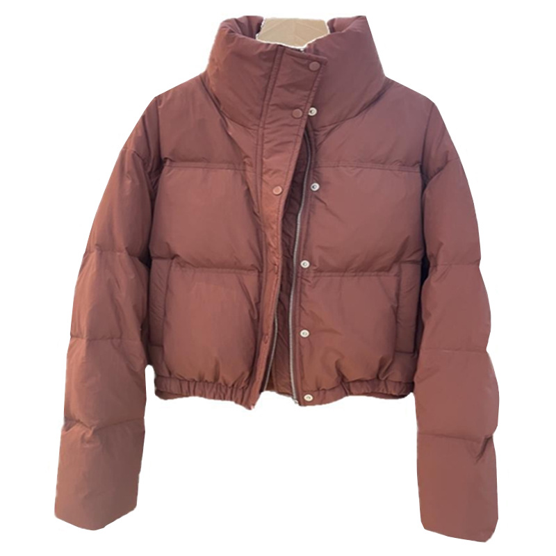 Chaqueta corta de plumón para mujer, nueva colección invierno 2025, cuello alto, corte holgado, abrigo acolchado grueso para tallas pequeñas.