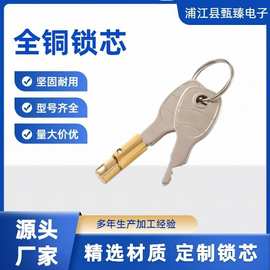 全铜异形锁芯工业用锁芯拖车锁芯盖锁连接器安全锁芯暗锁箱包锁芯