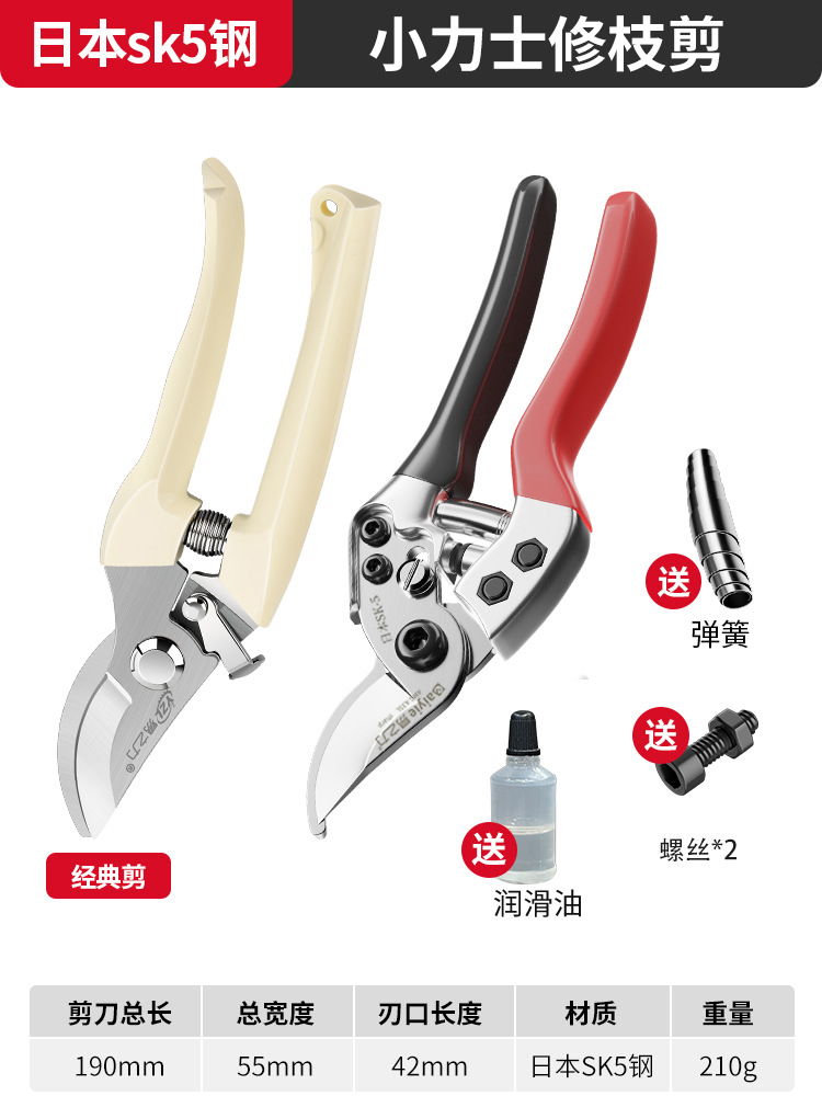 Tijeras de rama de fruta Yizili tijeras de jardín de primavera SK5 hoja de acero tijeras de jardinería doméstica tijeras de podar Bonsai de jardín al por mayor