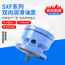 减速机润滑油泵 叶片式双向润滑泵 供应减速器双向油泵 齿轮油泵