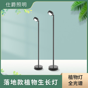 LED floor plant fill light green plant quilt wall growth light COB full spectrum indoor succulent potted plant light