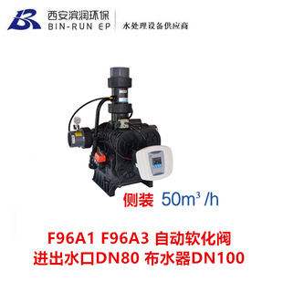 ����50���Ԅ�ܛ���y ���bF96A1 F96A3 �M��ˮ��DN80 �������