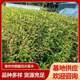 ���ع������l����ͥԺ�G�����ļ��\���G�h��ľ�o�¾G�h�t�����\��