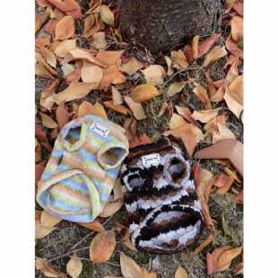 �����}�Që��؈؈�����s�����R����˹����̩�ϲ���ѩ�{��ͨ��ins