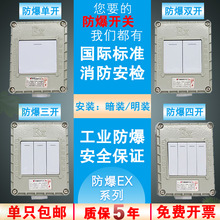 防爆防水开关单控双控户外墙壁开关220v单开双开五孔墙壁插座开关