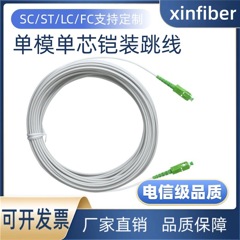 White 3.0mm 3.5m 10.2m Sc/Lc/St/Fc Single Mode Single Core Armor Fiber Jumper