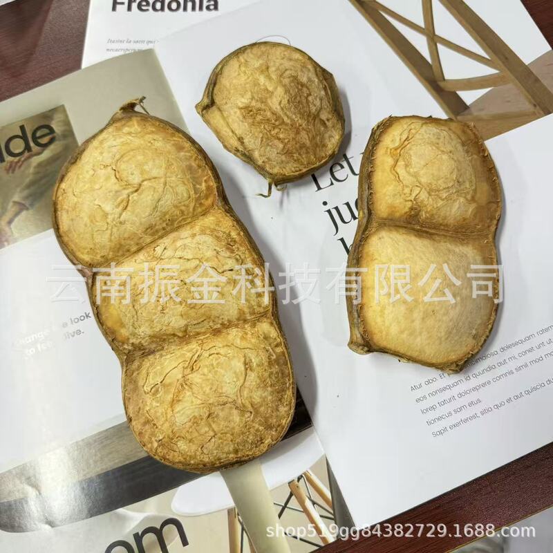 DIY Handmade Materials for Making Rattan Bean Pod Dolls: Single Bean, Double Bean, Peace Bean, Natural Plant Shell Specimens