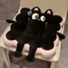Большеглазый кот (квадрат)