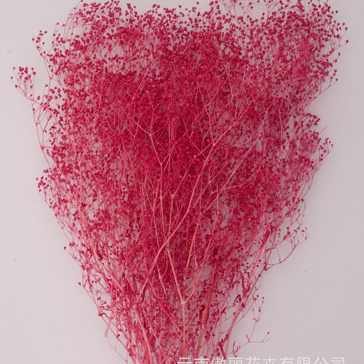 Fabricante pequeño cielo estrellado hierba millones de estrellas regalo del Día de San Valentín cielo estrellado ramo accesorios flor eterna