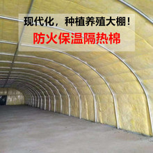 ������ᱣ����A���������޾���Bֳ��䓏S�����w������������