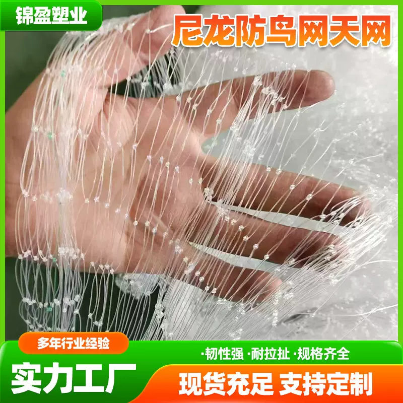 尼龙防鸟网天网 果园鱼塘防鸟网尼龙天网樱桃园稻谷葡萄防鸟网子