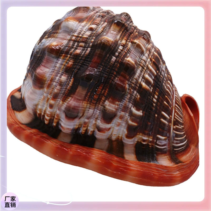 ✞Wanbao snail big conch shell crafts scenic spot sales shell gift souvenir spot wholesale four names