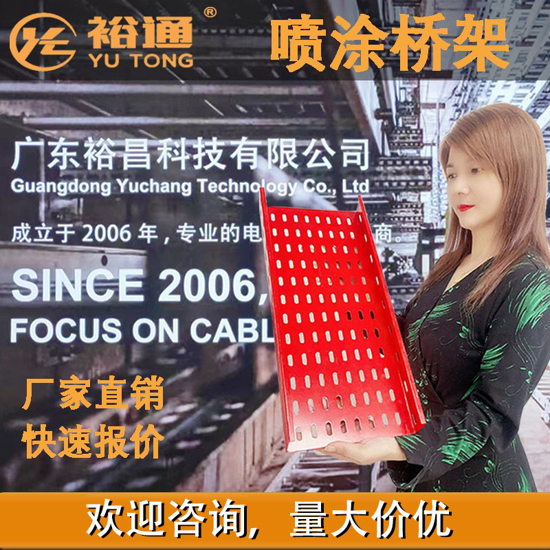 喷涂桥架 镀锌喷涂桥架 防火桥架 广东厂家 防火喷涂桥架