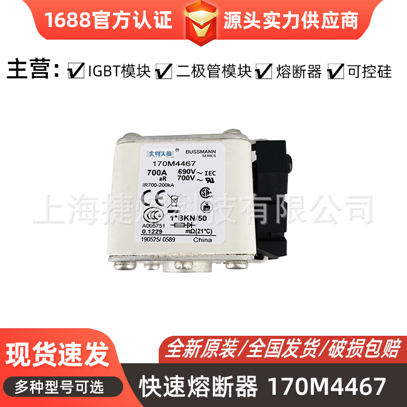 低压快速熔断器170M4467 170M4661 170M4813 量大价优 规格齐全