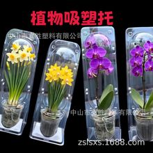 快递运输植物吸塑托盘 吸塑包装盒子定制 花卉绿植吸塑内托塑料盒