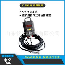 ����Һλ������GUY5(C)ú�V��Ͷ��ʽҺλ���������K���a