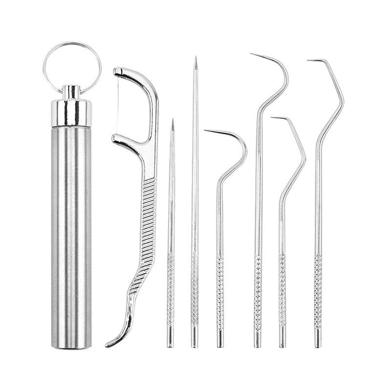 Stainless steel tooth cleaning set, portable