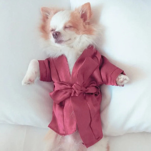 Cross -Bordder Dog Bathrobe House Robe Satin Lace кружев