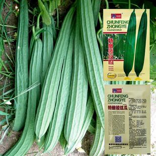 ��z�ϷN���r�Ұ���z�ϷN�ю����ļ��˷N���̨�����߲˷N�ݲ���