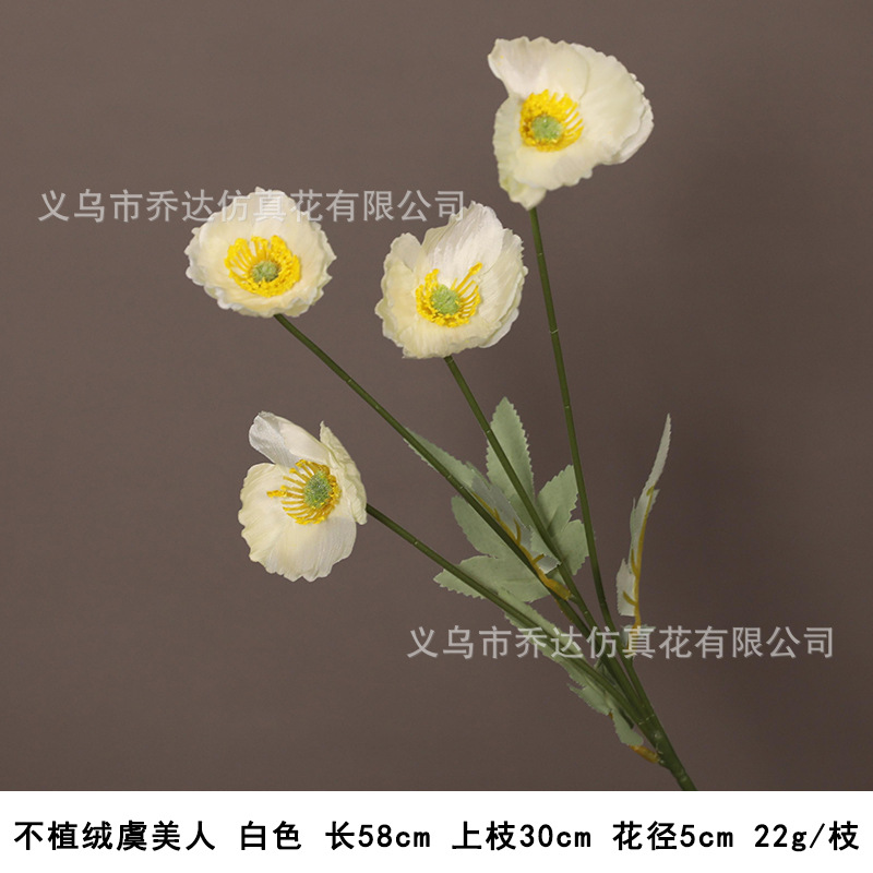 잠금 해제-샴페인