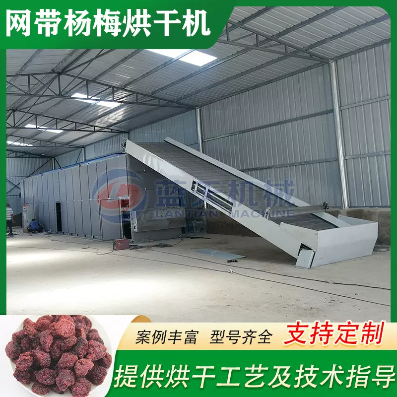 杨梅干烘干设备 大型树梅白蒂梅水果干燥机 ‌网带杨梅‌烘干设备