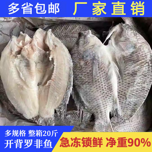 �_���_���~���r�����ȥ���~�����������l�����a�~������500-600g