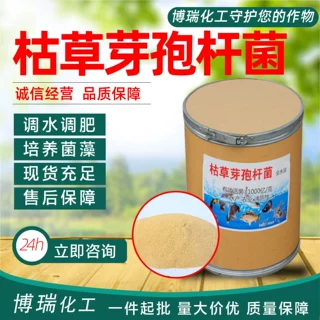 枯草芽孢杆菌净水促长规格齐全支持拿样定制水产改底枯草芽孢杆菌