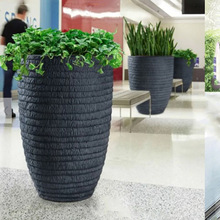 AƷWLVƵ껨ɽMy̘IֵNֲ