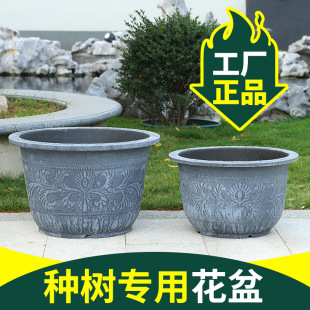 �ش�̖���ϻ�����Ց���ͥԺ�N��Ӻ�N�Gֲ���Ժɻ��蹤�Sֱ�N