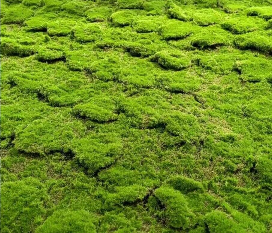 QQ图片20230925183019