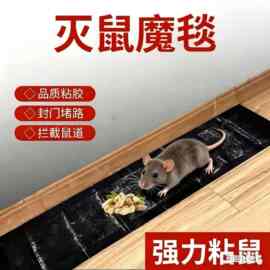 粘鼠毯老鼠粘灭鼠魔毯强力粘鼠板粘批发老鼠捕鼠器家用贴加厚