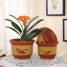 С��ɰ�����մɴ�̖�����������ն���G�}�辰�̨������l����վ