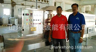 山西微波大枣烘干杀菌机