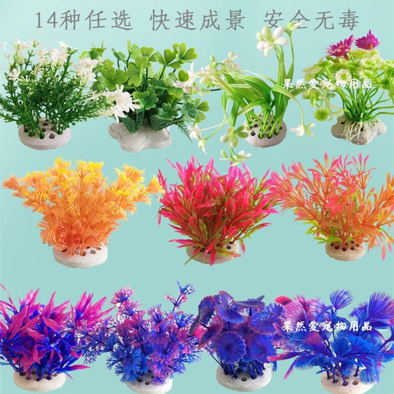 색상 랜덤 헤어