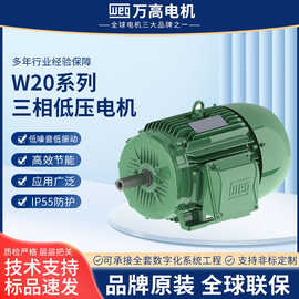 W20三相低压电机铝壳铸铁200L立式法兰万高马达WEG高效变频电机