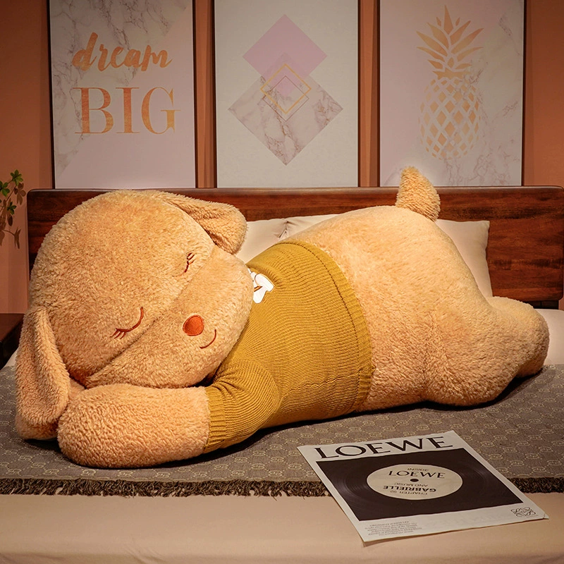 Sweater, pillow, rag doll for sleep