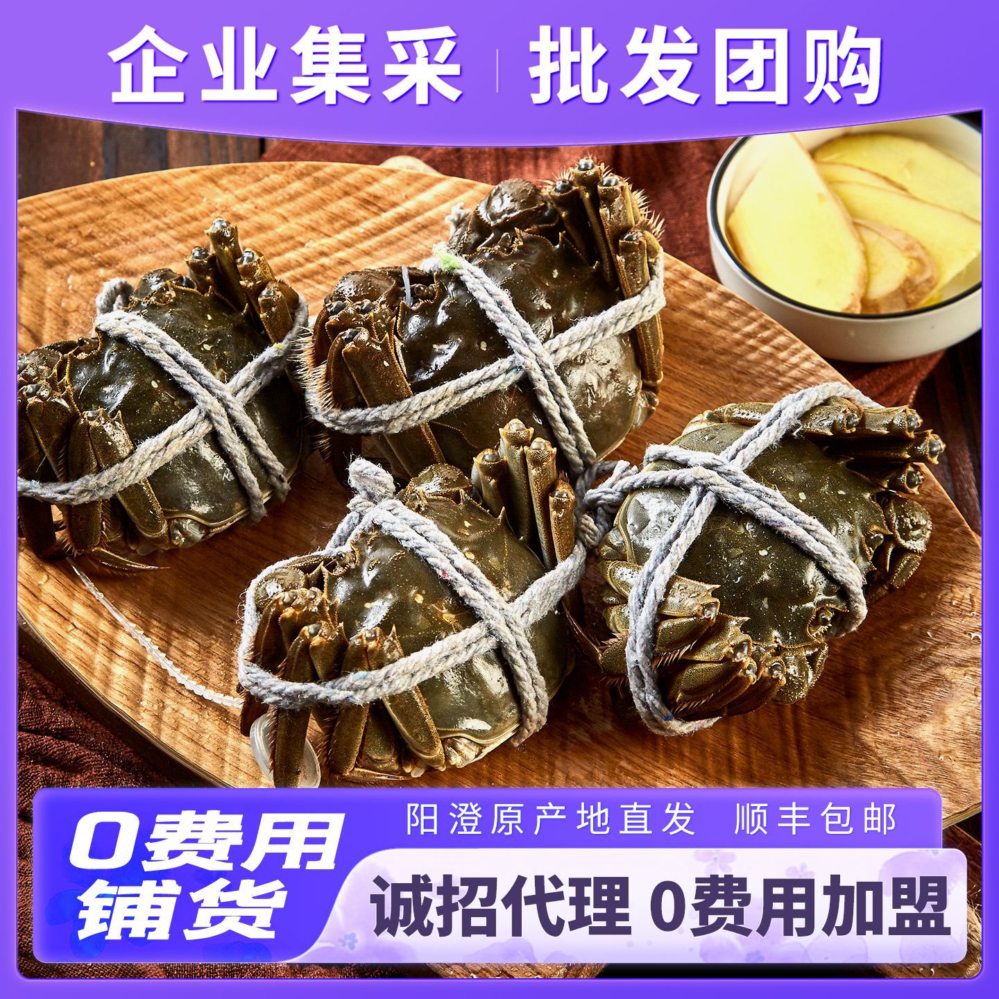 大闸蟹源头供应链代理代发批发集采量大价优自有养殖基地稳定供货