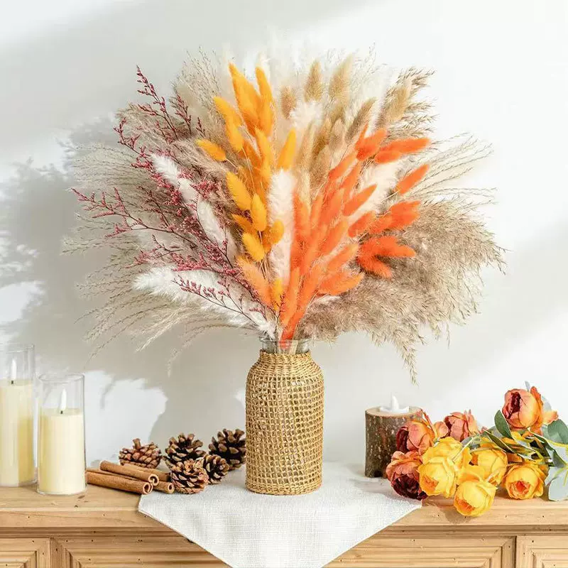 小芦苇兔尾草拂尘潘帕斯干花跨境亚马逊热销花束批发云南厂家直销