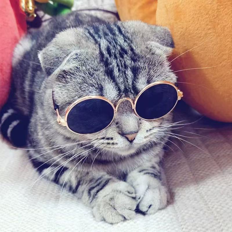 时尚宠物猫咪太子镜狗狗拍照眼镜配饰毛绒玩具网红太阳镜创意墨镜|undefined