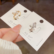 ���n�r�о��°ٴ���ؐ�������_�ڽ�ָŮ���Ժ��s�OӋ��ʳָ��Ů