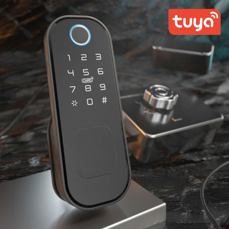 牛头锁电子锁免布线公寓铁门刷卡涂鸦外装指纹锁TT防盗门锁庭院锁